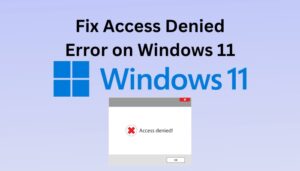 “Access Denied” Error on Windows 11