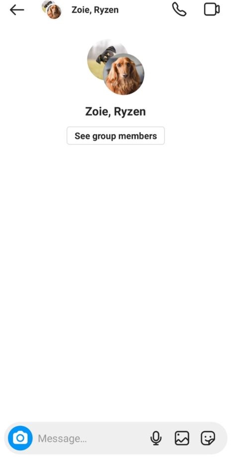  Instagram Group is created