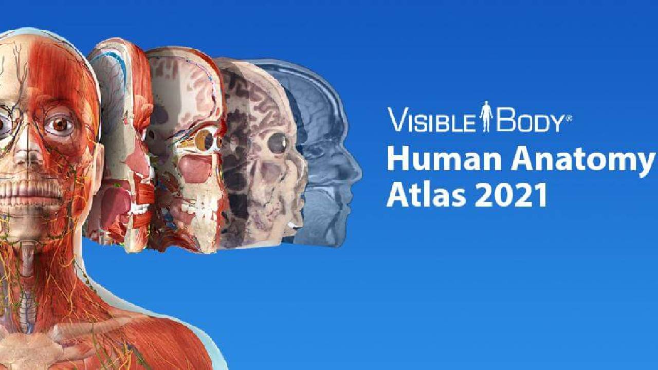 Human Anatomy Atlas APK MOD